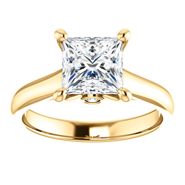 Princess Cathedral Engagement Ring with Surprise Diamond - enr169-pr ...