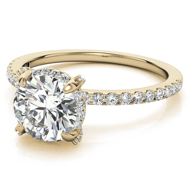Round Brilliant Petite Pave Style Moissanite Engagement Ring - eng178b ...