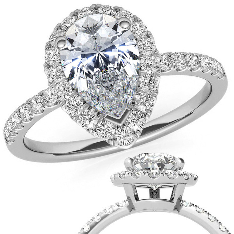 eng481-pear main image