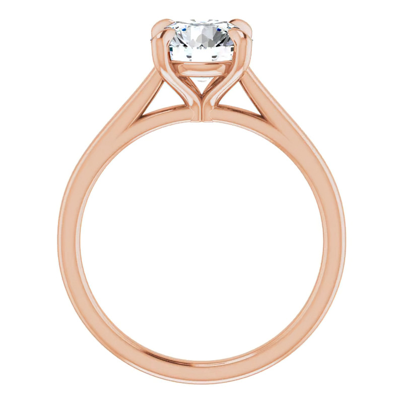 Round Brilliant Moissanite Petite Cathedral Solitaire - enr171 ...