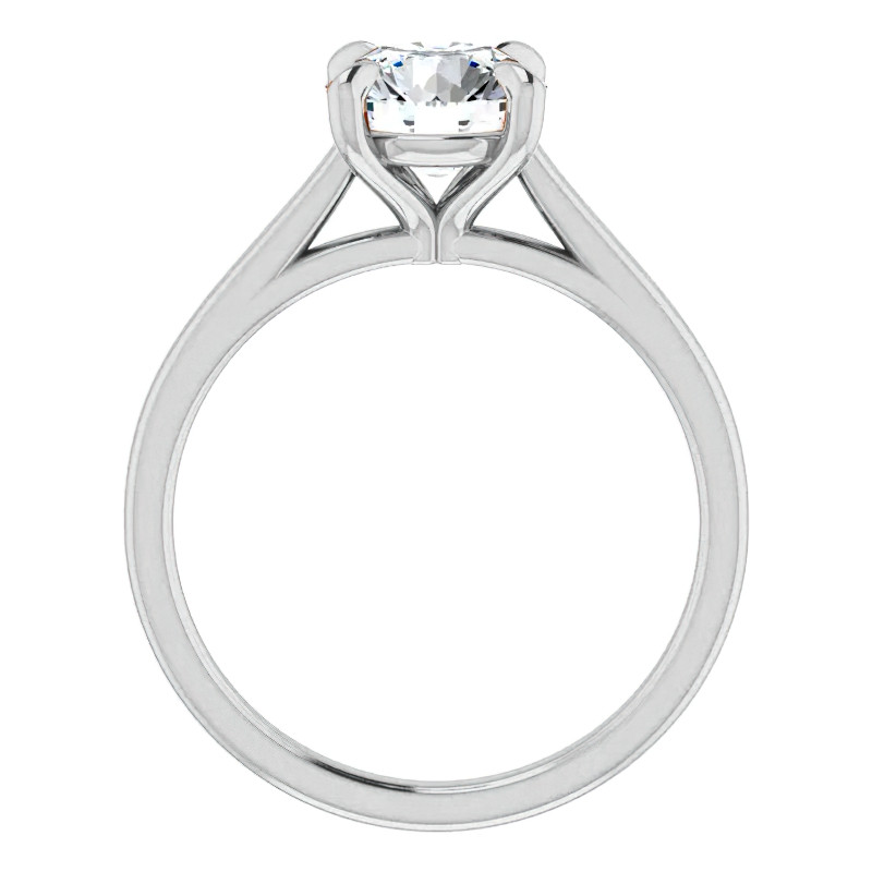 Round Brilliant Moissanite Petite Cathedral Solitaire - enr171 ...