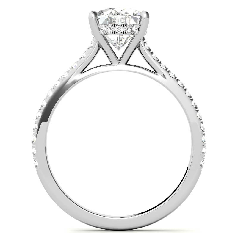 Oval Hidden Halo Cathedral Moissanite Engagement Ring - enr801-ov ...