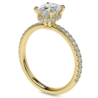 eng009-ov_01-yellow.jpg
