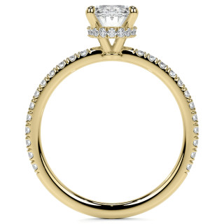 eng009-ov_03-yellow.jpg