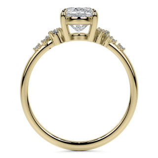 enr854-ov_03-yellow.jpg